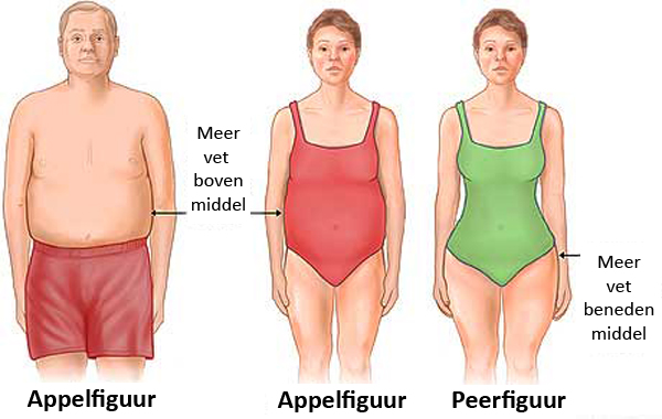 Figur normalgewicht BMI pictures
