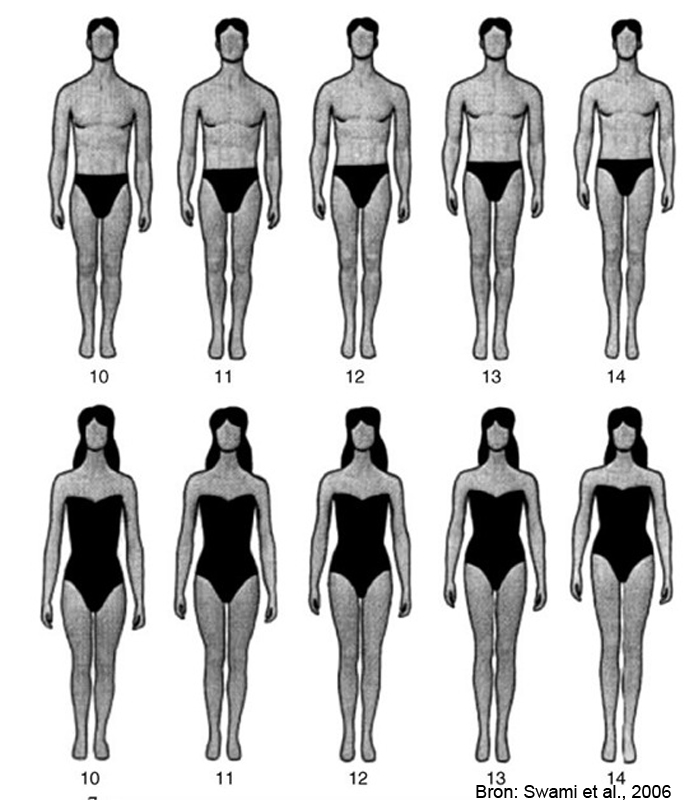 Leg-to-body-ratio Swami et al, 2006