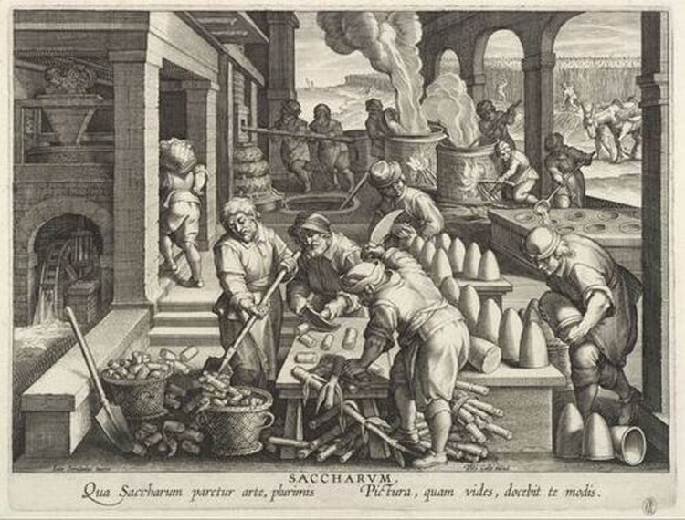 De uitvinding van de suikerraffinage Johannus Stradanus circa 1591